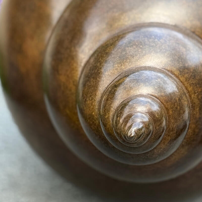 Close-up of limited edition bronze shell sculpture by James Parker showing logarithmic spiral detail