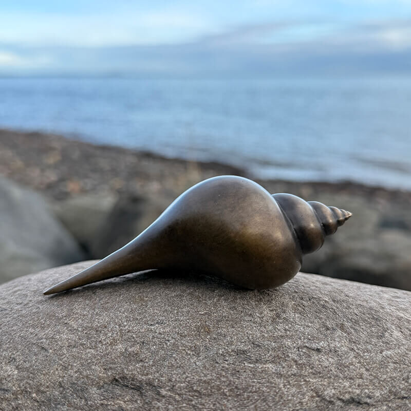 Limited edition bronze shell sculpture by James Parker inspired by whelk forms on the Scottish coastline