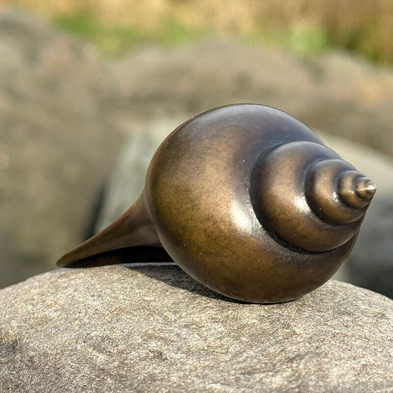 Small limited edition bronze shell sculpture by James Parker at an intimate palm-sized scale