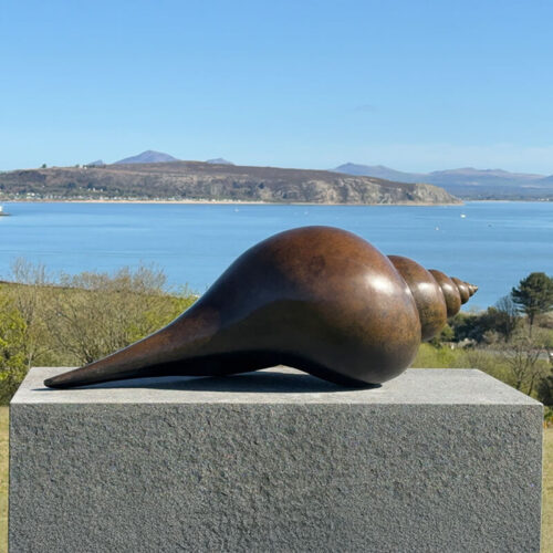 Limited edition bronze whelk shell sculpture by James Parker, displayed on a granite plinth overlooking a coastal landscape in North Wales, with sea and distant hills beyond.